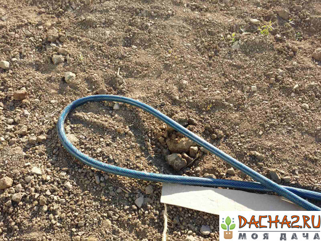 В процессе полива шланг начинает делать петлю
