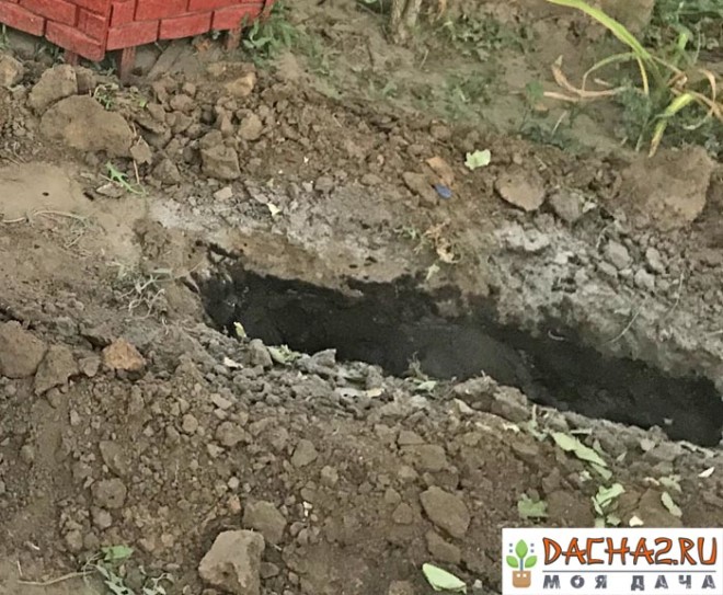 Траншея под осеннюю посадку малины на даче