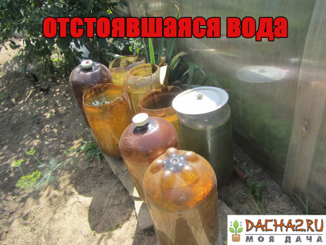 Самостоятельные ёмкости для полива воды в теплице из пивных кег