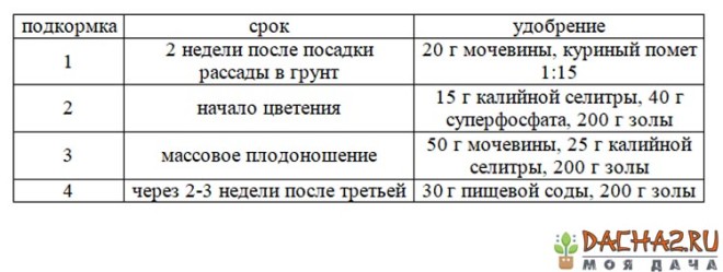 Нормы внесения подкормок для тепличных огурцов