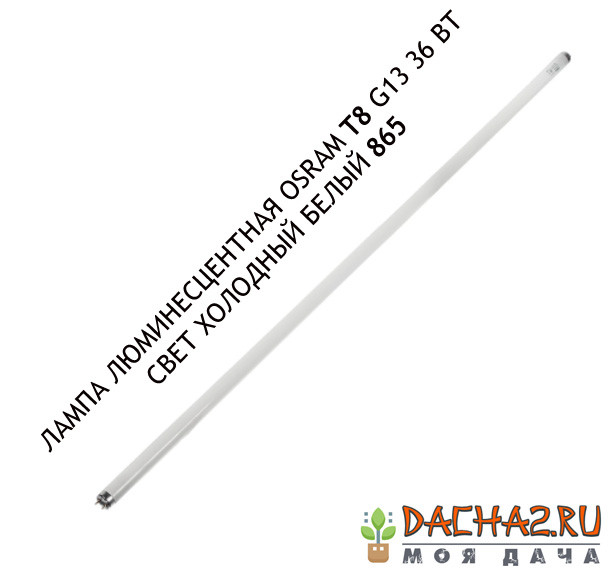 Osram T8 G13 36 Вт свет холодный белый 865 лампа