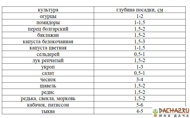 Таблица с глубиной посева семян в см