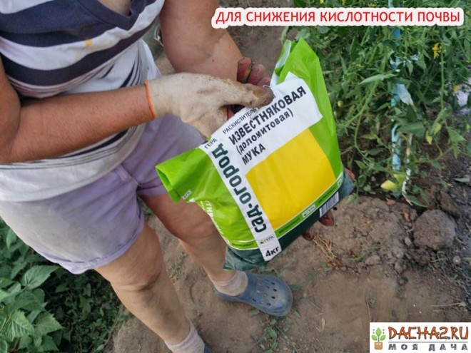 Известняковая доломитовая мука упаковка раскислитель