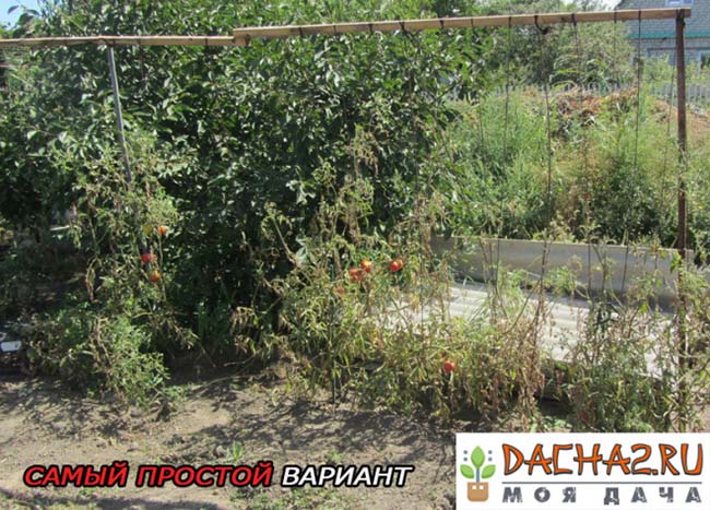 Шпалера для помидор из трубы и деревянной палки